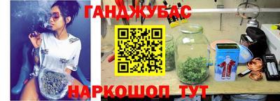 прущие грибы Обь