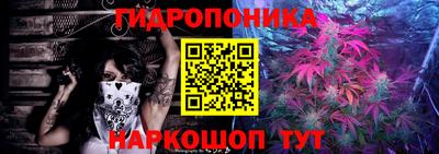 прущие грибы Обь