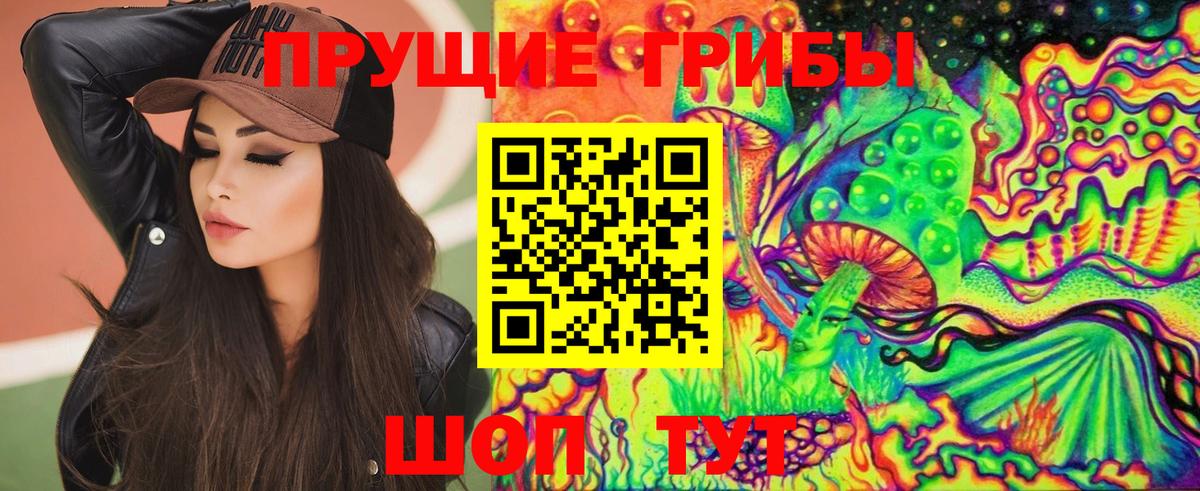 Галлюциногенные грибы ЛСД  Вход с VPN  Алатырь  закладки  Галлюциногенные грибы Psilocybine cubensis 