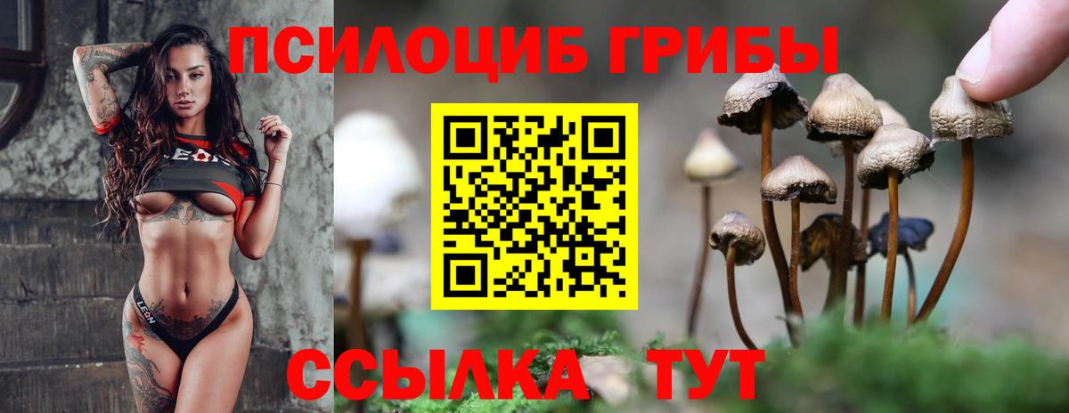 Псилоцибиновые грибы Psilocybine cubensis Алатырь